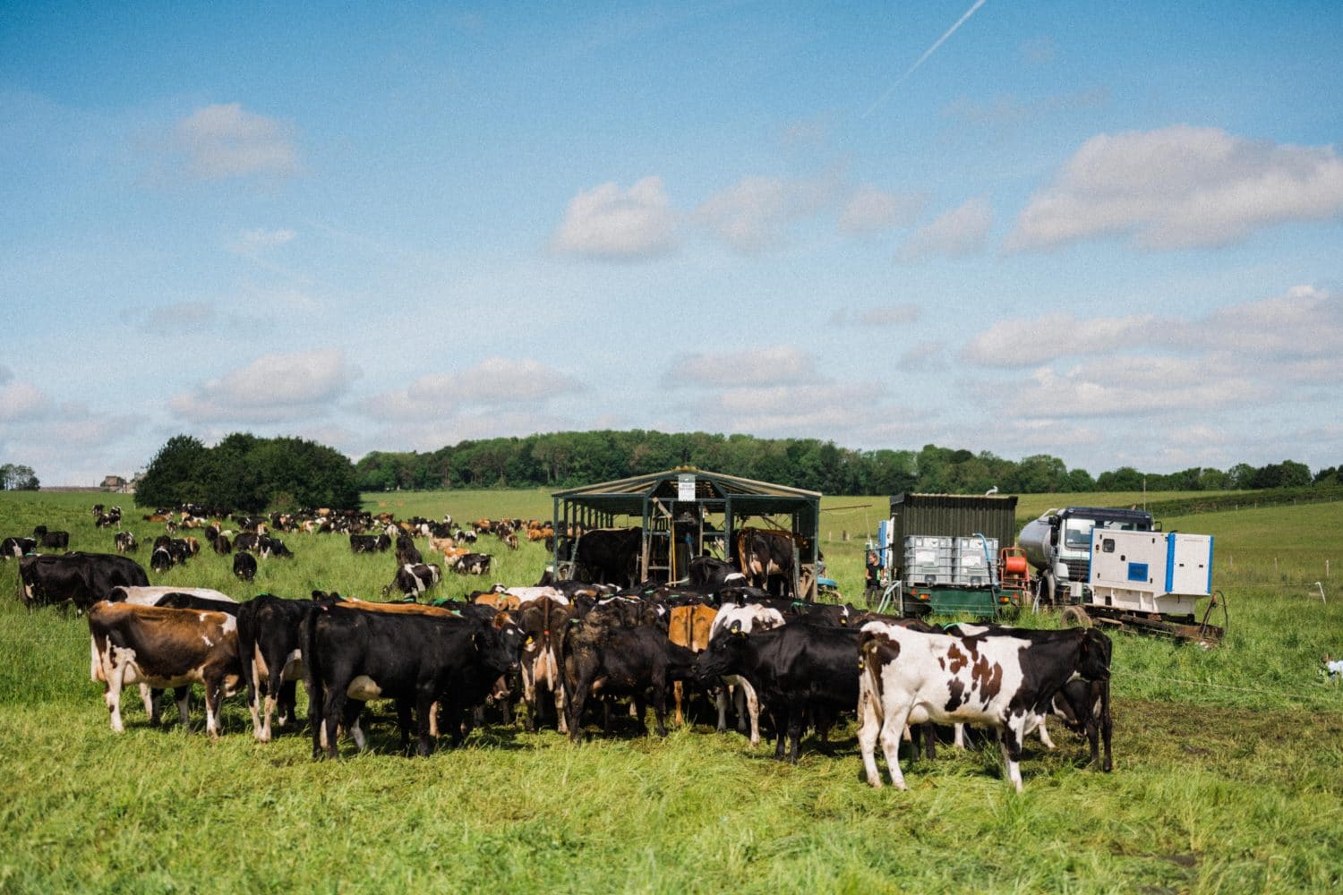 Mobile Dairy at Kingsclere Estates